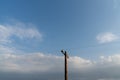 Isolated wooden electricity mast under an expressive sky