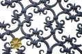 Isolated Wrought Iron Fence with Gold Flower