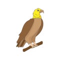 Isolated eagle animated animals vector illustration