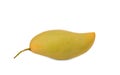 Isolated yellow mango. One whole mango fruit isolated on white background with clipping path. Delicious ripe mango on white backgr Royalty Free Stock Photo