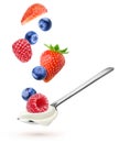 Spoon with natural yogurt and falling berries isolated on white background Royalty Free Stock Photo