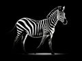 Isolated zebra silhouette black stripes