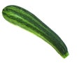 Isolated zucchini