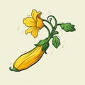 Isolated Zucchini Blossom on White Background AI Generated Royalty Free Stock Photo