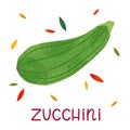 Isolated zucchini on a white background Royalty Free Stock Photo