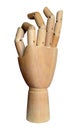 Jointed Wooden Hand