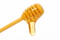 Isolation of honey dripper Royalty Free Stock Photo