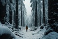 Isolation impact snow covered forest triggers psychological exploration for lone traveler