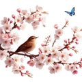 bird on a blooming apple tree branch, bright colors of nature, delicate apple tree flowers, spring Awakening, Royalty Free Stock Photo