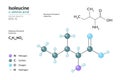 Isoleucine. Ile C6H13NO2. ÃÂ±-Amino Acid. Structural Chemical Formula and Molecule 3d Model. Atoms with Color Coding. Vector