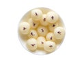 Isollated sponge Rasgulla sweets, famous indian sweet food