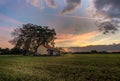 Isoloated house in the field at sunset with cloudy