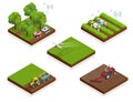 Isometric agriculture automatic guided robots harvest fruit from trees and harvest berries, combined harvester-thresher