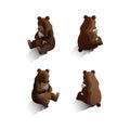 Isometric bears. Vector illustration decorative design Royalty Free Stock Photo