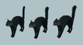 Isometric Black Cat. Set calm cat, meowing, hissing vector illustration.