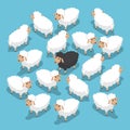 Isometric black sheep in the flock Royalty Free Stock Photo
