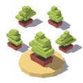 Isometric bonsai in a pot plant