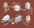 Isometric Brewery Flowchart