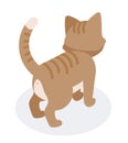 Isometric brown cat