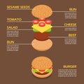 Isometric of Burger ingredients infographic