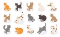 Isometric cats set