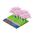 Isometric cherry blossom forest with river and bridge