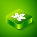 Isometric Chestnut leaf icon isolated on green background. Green square button. Vector Royalty Free Stock Photo