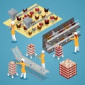 Isometric Chicken Farm Poultry. Organic Eggs Production Line