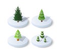 Isometric Christmas tree spruce