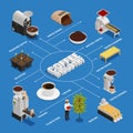 Isometric Coffee Industry Flowchart Royalty Free Stock Photo