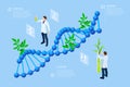 Isometric concept of laboratory exploring new methods of plant breeding and agricultural genetics. Plants growing in the Royalty Free Stock Photo