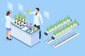 Isometric concept of laboratory exploring new methods of plant breeding and agricultural genetics. Plants growing in the