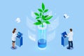 Isometric concept of laboratory exploring new methods of plant breeding and agricultural genetics. Plants growing in the Royalty Free Stock Photo