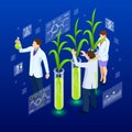 Isometric concept of laboratory exploring new methods of plant breeding and agricultural genetics. Plants growing in the Royalty Free Stock Photo