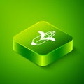Isometric Corn icon isolated on green background. Green square button. Vector
