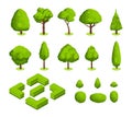 Isometric 3d vector park and garden trees and bushes. Green forest plants collection