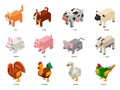 Isometric domestic animals. Low poly pets and farm birds. Squared cat, polygonal dog and voxel rabbit 3D cartoon vector