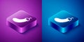 Isometric Eggplant icon isolated on blue and purple background. Square button. Vector