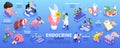 Isometric Endocrinologist Infographic