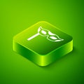 Isometric Festive mask icon isolated on green background. Merry Christmas and Happy New Year. Green square button Royalty Free Stock Photo