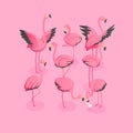 Isometric View Of Flock Of Flamingos