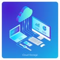 Isometric Flat Cloud Hosting Network Storage vecto