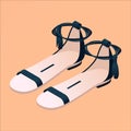 Isometric flat nude and black sandals isolated on peach background. Fashion stylish illustration with women pair 3d footwear good