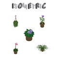 Isometric Flower Set Of Blossom, Grower, Flowerpot And Other Vector Objects. Also Includes Flower, Plant, Pot Elements.