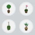 Isometric Flower Set Of Grower, Blossom, Tree And Other Vector Objects. Also Includes Flower, Plant, Blossom Elements.