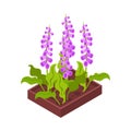 Isometric Flowerbed Icon