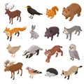 Isometric Forest Animals Set