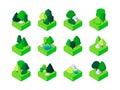Isometric forest. Trees and bushes environment for landscape design, decorative nature elements polygonal shape for game