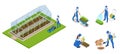 Isometric gardeners, farmers and workers caring for the garden, growing agricultural products. Rows of plants growing