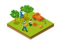 Isometric gardening. Farmers, plantation agriculture workers harvesting for seasonal market. Isometric apple pear trees